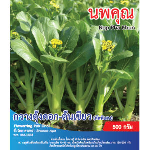 เมล็ดพันธุ์ กวางตุ้งนพคุณ (ถุงใหญ่)