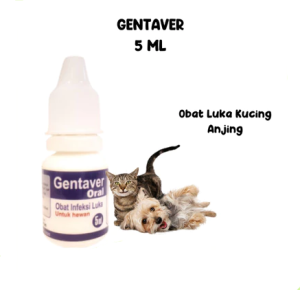 GENTAVER OBAT LUKA KUCING ANJING