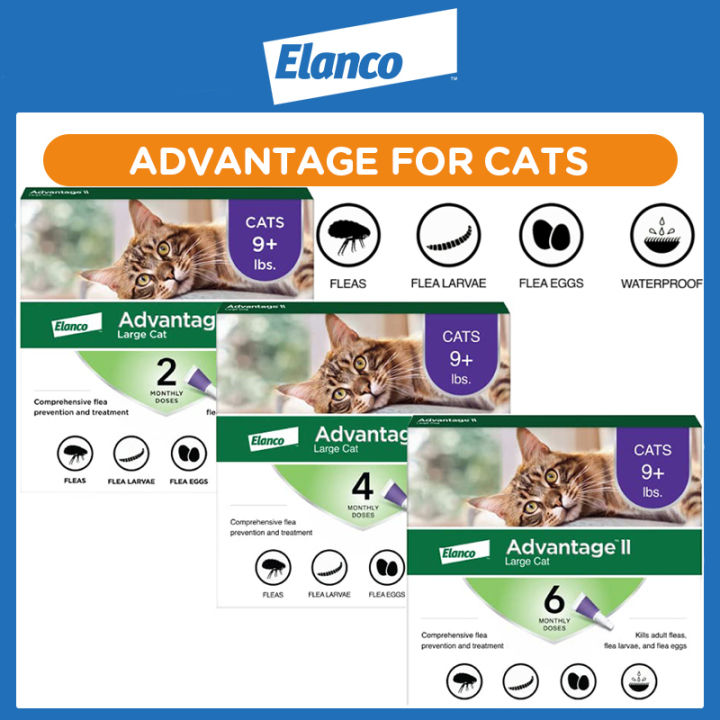 Elanco Advantage II Large Cat 4-8Kg Flea Treatment Prevention