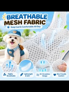 Teddy Bear Pet Harness Set with Cap and Leash for Small Dogs and Cats