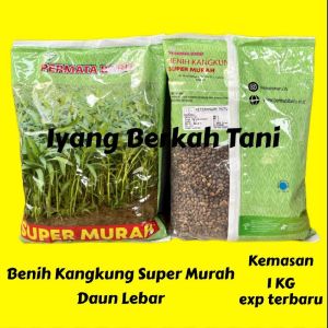 Benih Kangkung 1 KG SUPER MURAH Produk Permata Baru | Bibit Kangkung 1 kg