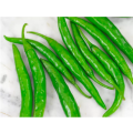Sili Panigang / Siling Haba / 0.7 gram 90-110 pcs Hot Pepper Green / Bicol Express Chili Seeds Herbs Vegetables Plants. 