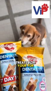 Pedigree Dentastix Daily Treat Pack for Dogs Small and Big with Fresh Breath Support