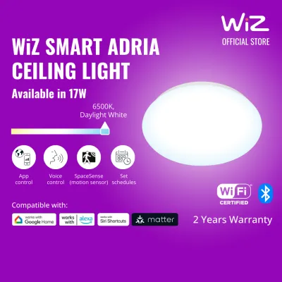 WiZ Adria Smart Wifi Dimmable Ceiling Light | 17W | 6500K White | Voice/ App Control (Google & Alexa)