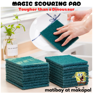 SCOURING PAD - The Original Dinosaur Heavy Duty Scrubbing Pad/ scouring pad