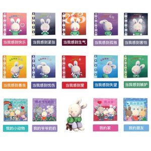 【SG Stock】毛毛兔我的情绪管理 中文图画书  All about When Im Feeling picture books set paperback