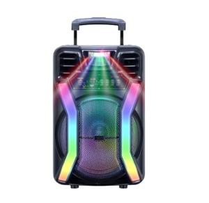 HANSUO HS-TS12H8 Plastic Rechargeable subwoofer 12 inch audio speaker