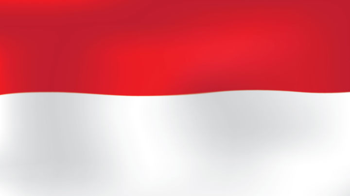 BENDERA MERAH PUTIH INDONESIA UKURAN 90 X 60 | Lazada Indonesia