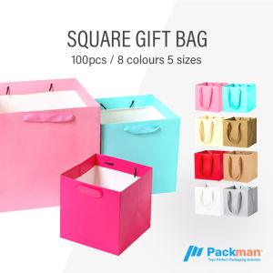 (SINGAPORE WHOLESALE) Coloured Square Rope Paper Bags - Pink Blue Red Yellow Brown White Gray - Gift Wrapping Supplies