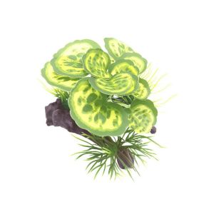 SHUSHABA ตกแต่งด้วยการตกแต่ง หญ้าน้ำเทียม เหมือนจริงเหมือนจริง การจำลองแบบจำลอง พืชน้ำปลอม การจัดสวนตู้ปลา พลาสติกทำจากพลาสติก เครื่องประดับต้นไม้น้ำ ถังเลี้ยงปลา