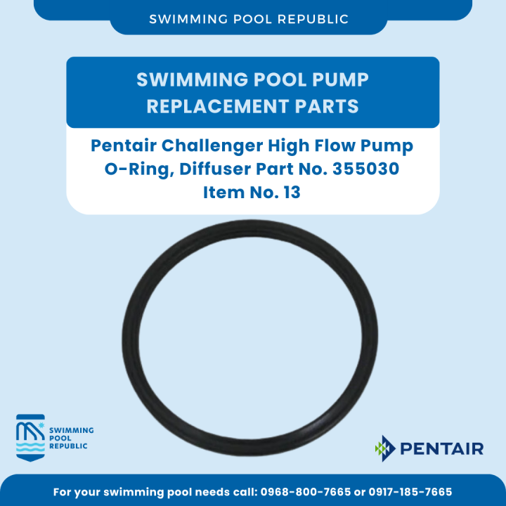 Pentair Challenger High Flow Inground Pool Pump Replacement Parts