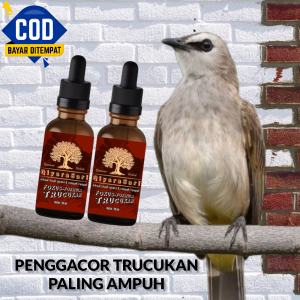 Doping Burung Trucukan Super Latah Vitamin Burung Trucuk Biar Gacor Multivitamin Trucukan Super Ampuh Anti Konslet Herbal Alami Bisa Bayar Cod