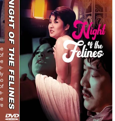 DVD Film Jepang. Night in Feliness 2025