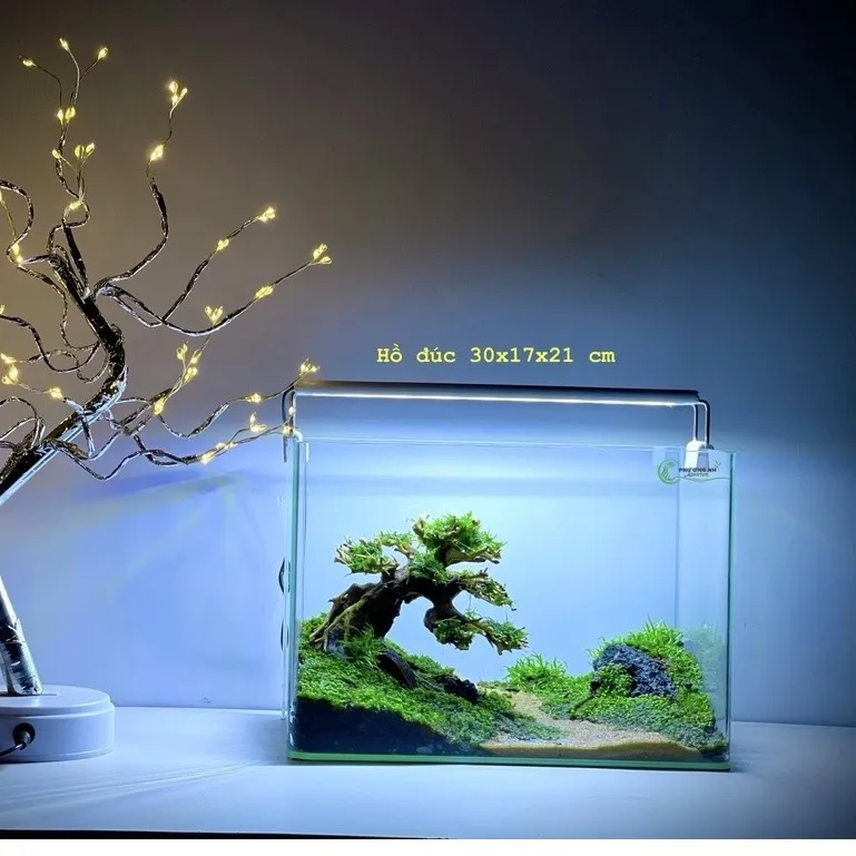 Lũa Bonsai mini trang trí hồ thủy sinh