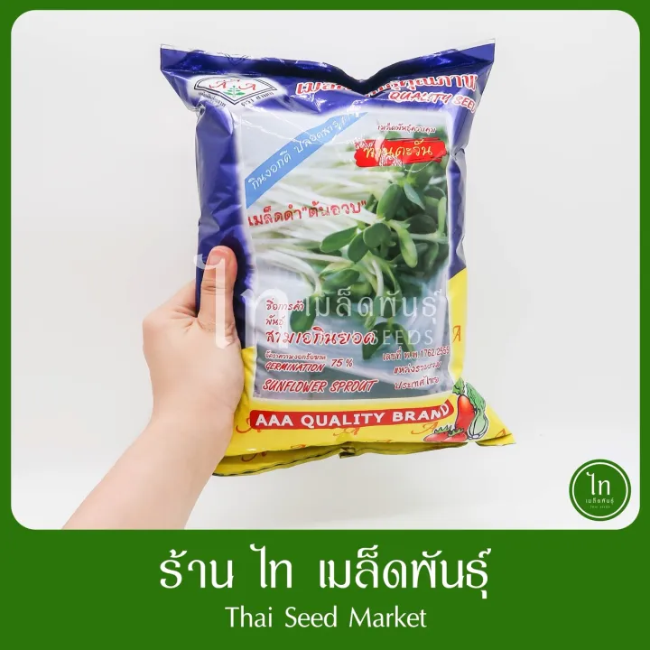 เมล็ดทานตะวันงอก เมล็ดดำใหญ่ สามเอกินยอด 1 กก.