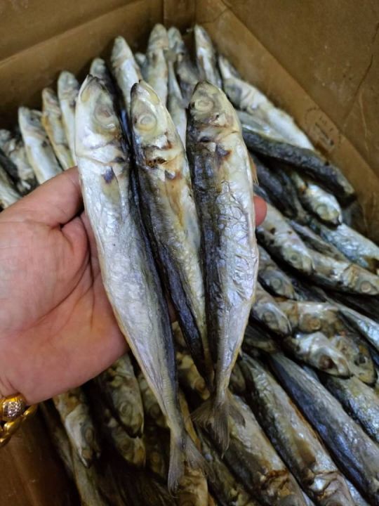 %F0%9F%94%A5Hot%20Item/Hot%20Deal%F0%9F%94%A5Ikan%20Asin%20Sardin%20Ogak%20Kukus%20Masin%20Sardin%20Ogak%20Kukus%20-%20Image%202