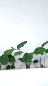 Gamis Syari Set Cadar & Jameela Set by Khumaira Syari