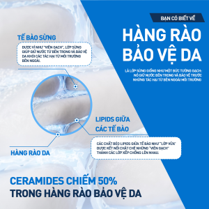Kem dưỡng ẩm phục hồi sâu và ẩm mịn suốt 48H dành cho da khô duy trì hàng rào bảo vệ da CERAVE MOISTURISING CREAM 340G