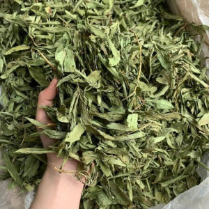 Trà Cỏ Ngọt Khô - Tạo vị thơm ngọt tự nhiên tốt cho sức khỏe thanh nhiệt