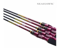 2023 New Expert Graphite Ares 300 SW Spinning & Overhead BC Baitcast Rod  Saltwater Bottom Boat Version 3 III ARES300