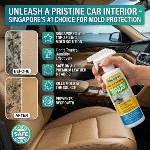 Universal Clean Spray Car Home/All Ages Family Kitchen Bathroom/Tile Mold Remover Mold Removal Spray/Persistent Effect Reliable Helper