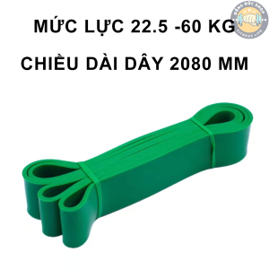 Dây Kháng Lực Chất Liệu TPE - Mức Lực Từ 2.5 KG Đến 115 KG - Hỗ Trợ Tập Gym Tập Thể Dục Tập Thể Lực