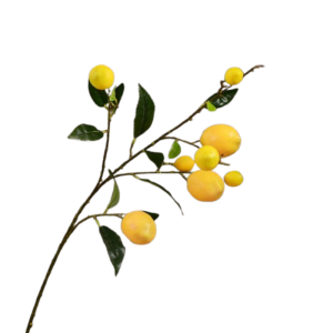 UMBRAULI Luxury Artificial Lemon Branch Elegant Plastic Artificial Lemon Fruit DIY Vase Decor Handmade Fake Plants Restaurant Hotel