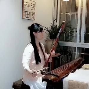 Suzhou Erhu เครื่องดนตรีมืออาชีพผู้เริ่มต้นเด็กแท้ทองแดงแกนไม้มะฮอกกานีสอง Huqin โรงงานขายตรง