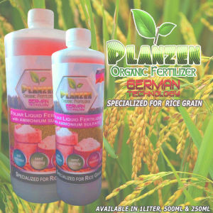 PLANZEN - ORGANIC LIQUID FOLIAR FERTILIZER FOR RICE GRAIN