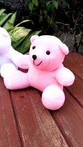 TERBARU Boneka bear wisuda Boneka bear mini lucu imut boneka bear wisuda boneka bear 14cm