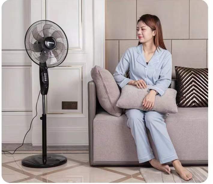 STAND ELECTRIC FAN BUY ONE TAKE ONE Lazada PH