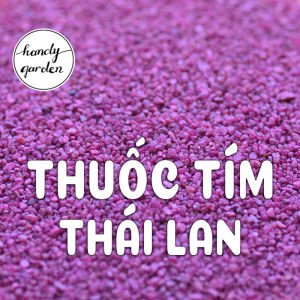 Starkle G - Kiểm Soát Côn Trùng Sâu Rầy Rệp - Dùng Cho Cây Kiểng Sen Đá Xương Rồng - Thailand Systemic Pesticide Starxle G | HandyGarden