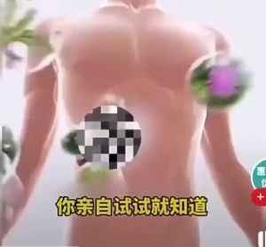 Miếng Dán Thảo Mộc Bàn Chân Hỗ Trợ Thanh Lọc Cơ Thể Giúp Ngủ Ngon Thư Giãn Giảm Mệt Mỏi Hộp 5 Miếng