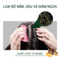 Dầu gội nấm da đầu dược liệu Tinea chống ngứa giảm gàu, rụng tóc và nấm ngứa da đầu - 100ml. 