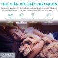 Máy lọc không khí Levoit Core P350 40m2, bộ lọc HEPA 13 lọc sạch bụi mịn, lông thú cưng, vi khuẩn, vi rút, độ ồn 24dB. 