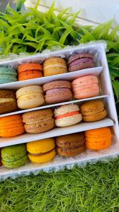BABY VANG TUE / BABY MACARON ISI 20PCS