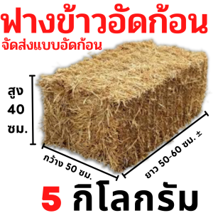 ฟาง ข้าว อัดก้อน 5 กก. สำหรับนั่ง การเกษตร เลี้ยงสัตว์ ส่งจากนครปฐม หน้าไร่มาเองเกี่ยวใหม่ ทุกเดือน