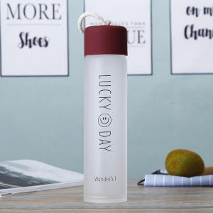 HomiesTrends 400ml Frosted Color Drinkwares Matte Glass Water Bottle