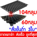 *ค่าส่งถูก* ถาดเพาะกล้า 60หลุม 104หลุม ถาดเพาะชำ ถาดเพาะต้นกล้า ถาดเพาะต้นอ่อน ถาดเพาะเมล็ด ถาดเพาะปลูกผัก แบ่งขาย (สั่ง 4ชิ้นขึ้นไป). 