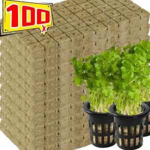 ขนสัตว์หินฟองน้ำสำหรับปลูกต้นไม้100ชิ้นก้อนสื่อเจริญเติบโตด้วยน้ำอุปกรณ์สวนเรือนกระจกในบ้านบล็อกต้นกล้า