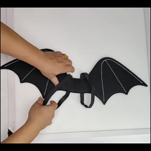 Bat Wing for Kid Adult Halloween Bat Wing Costume for Women Girl Children Birthday Christmas Masquerade Cosplay