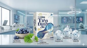 Hoạt Huyết Tiền Đình Dafa Premium – Hỗ trợ giảm hoa mắt chóng mặt & đau đầu (Hộp 30 viên).