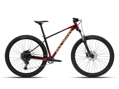 Polygon Xtrada 5 [27.5 / 29 Inch] Sepeda MTB 1x10 Speed