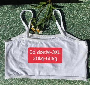 Áo Lá Học Sinh cấp 1-2 Chất cotton không mút ( Có size To)