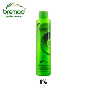 Bremod Hair Color Very Light Ash Blond BR-R301-9.1 100ml+Oxidizer 6% 9% 12% 100ml Hair Dye Stylish Hair Color DIY hair at home dye Show whiteness Fashionable hair color