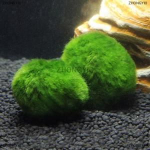 [COD] ZHONGYI0 Bóng rêu marimo 3-4cm cây thủy sinh sống tảo bể cá tôm trang trí bóng tảo xanh mô phỏng cây nhân tạo