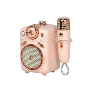 Divoom Fairy2 Portable Bluetooth Karaoke Speaker with Wireless Mic FM Radio & MicroSD Support