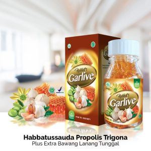 Habbats Garlive Original – Herbal Alami untuk Turunkan Kolesterol dan Diabetes