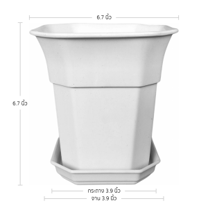 ถามที่คุณพึงพอ:** กระถางต้นไม้ 8 เหลี่ยม กระถางทรงสูง กระถางแคคตัส 6.5 นิ้ว