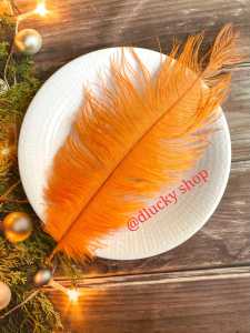 bulu ostrich feather Replika super grade a ukuran 20-25 cm perhelai